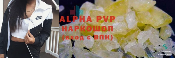 гашик Коряжма