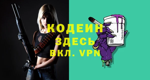 гашик Коряжма