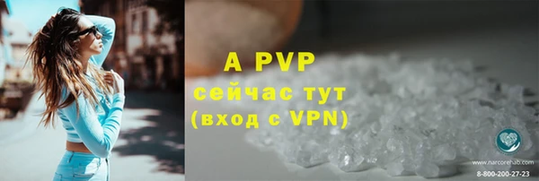 гашик Коряжма