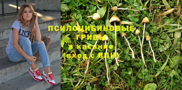 гашик Коряжма