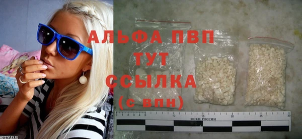 гашик Коряжма