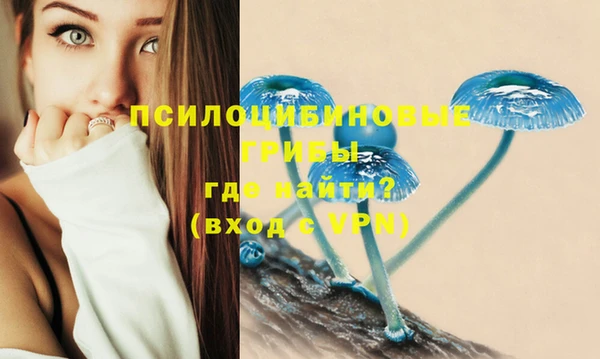 гашик Коряжма